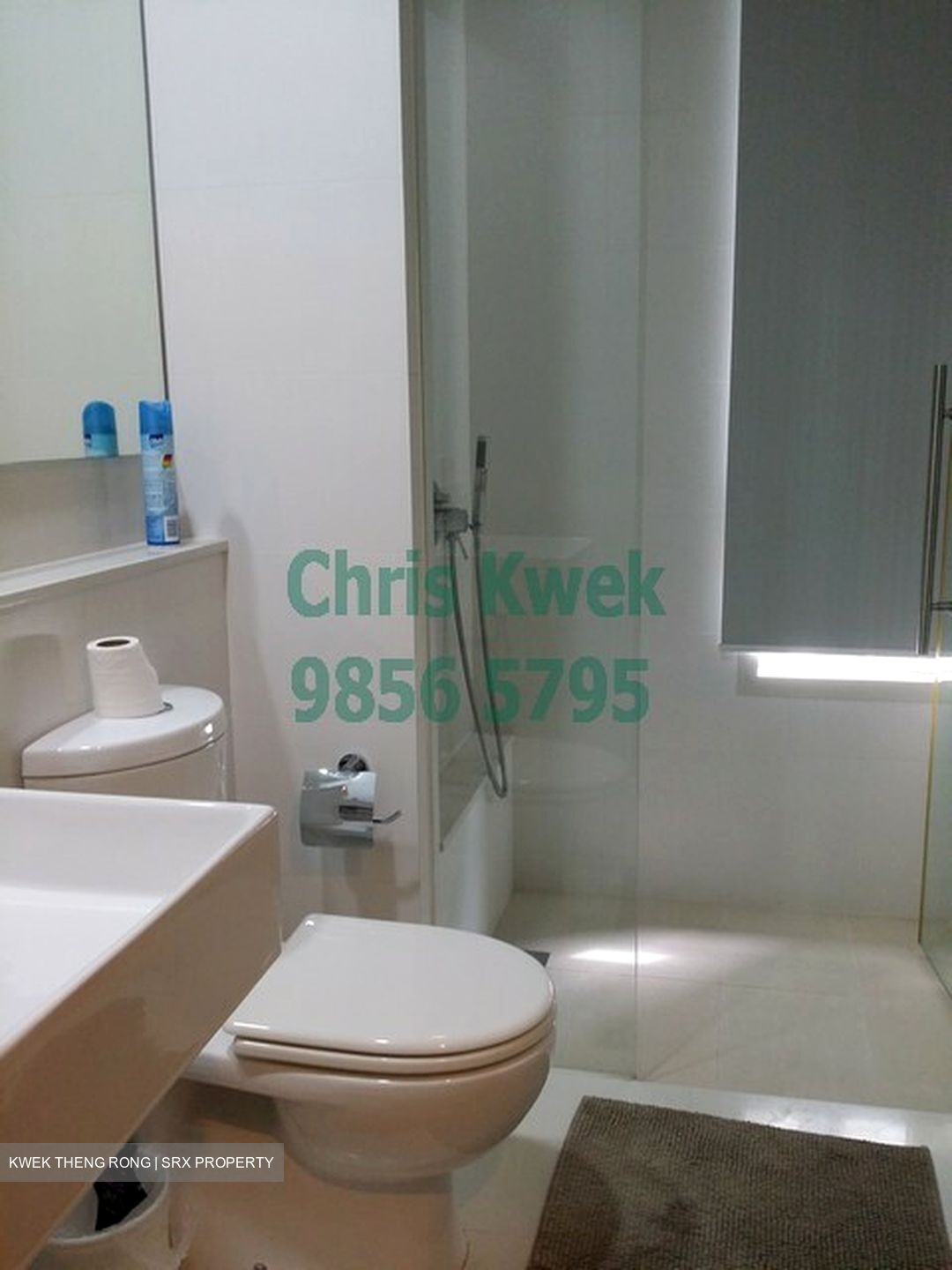 The Sea View (D15), Condominium #622165521